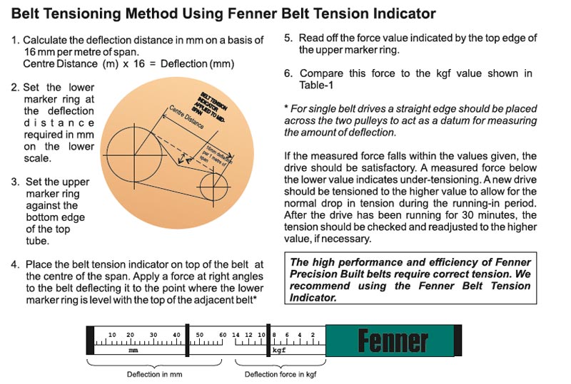 Belt Testing Guide
